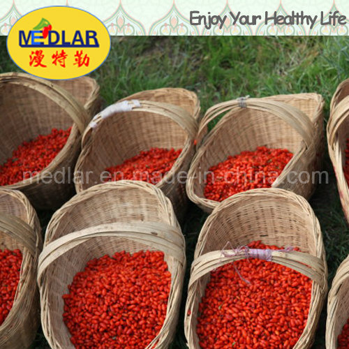 Medlar Lbp Organic Goji Berries Dried Fruit