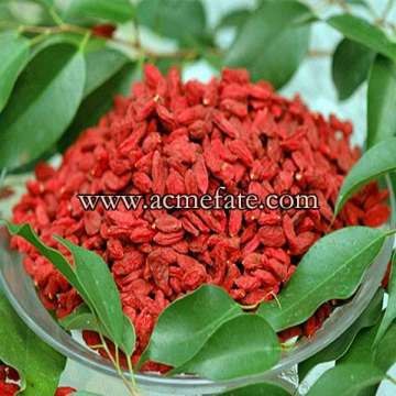 Popular sell Ningxia Dried Fruit Products Dried Goji Berries from Acme fate international LTD